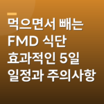 먹으면서 빼는 FMD 식단 효과적인 5일 일정과 주의사항