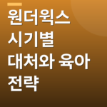 원더윅스 시기별 대처와 육아 전략