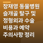장재영 동물병원 슬개골 탈구 및 정형외과 수술 비용과 예약 주의사항 정리