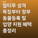 말티푸 성격 특징부터 정부 동물등록 및 입양 지원 혜택 총정리
