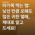 마가목 먹는 법: 낯선 만큼 오해도 많은 귀한 열매, 제대로 알고 드세요!
